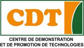 CDT